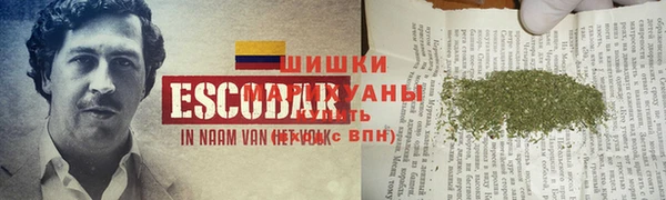 ПСИЛОЦИБИНОВЫЕ ГРИБЫ Куйбышев