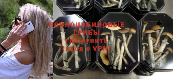 хмурый Кукмор