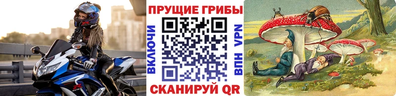 купить наркоту  Черкесск  MEGA как войти  Псилоцибиновые грибы MAGIC MUSHROOMS 
