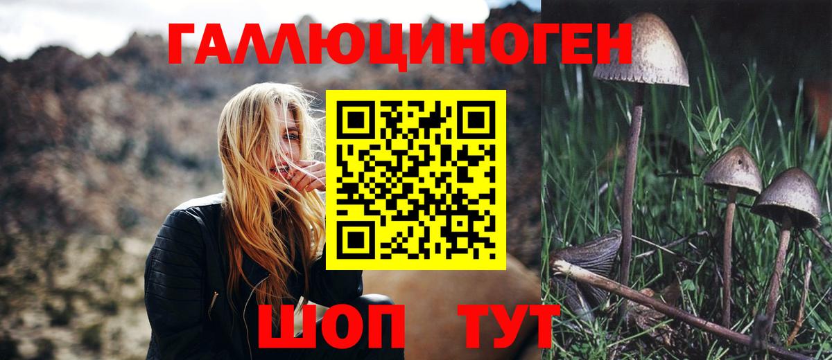 Галлюциногенные грибы мухоморы  Псилоцибиновые грибы мухоморы  Черкесск  Вход с VPN 