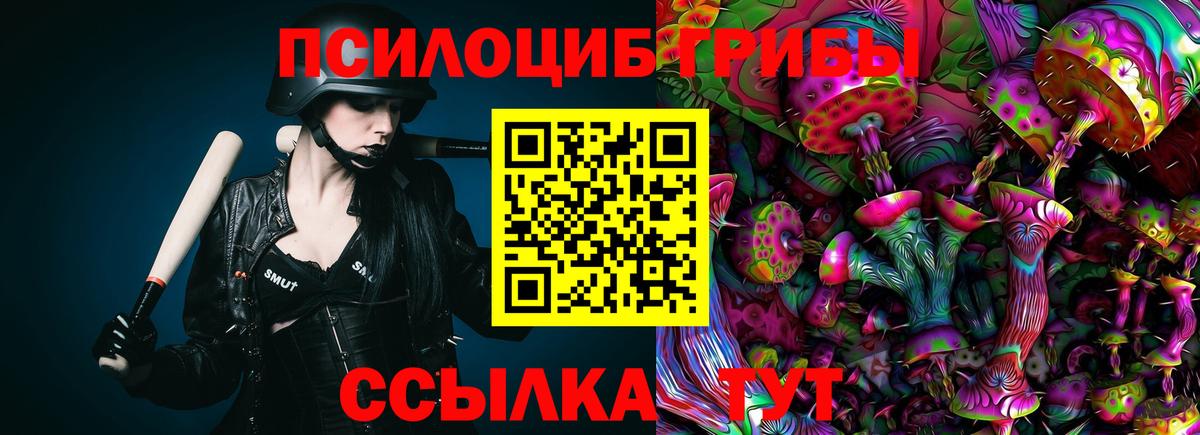 Галлюциногенные грибы Psilocybe  Псилоцибиновые грибы прущие грибы  Черкесск 